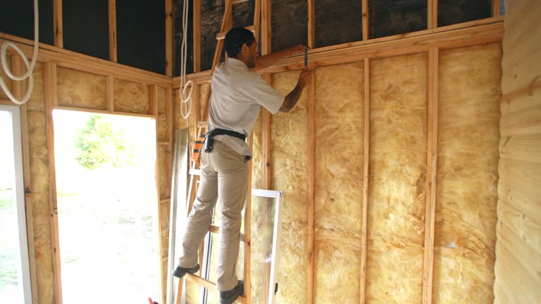 Best Eco-Friendly or Green Insulation Solutions  in , IL